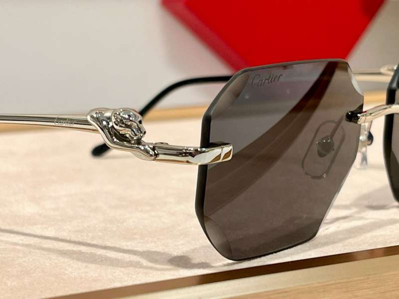 Picture of Cartier Sunglasses _SKUfw56642942fw
